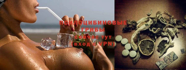 jwh Белокуриха