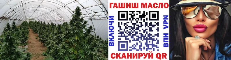 darknet клад  Малмыж  Дистиллят ТГК гашишное масло 